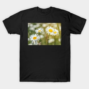 Daisies T-Shirt